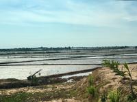 Ueberflutete Reisfelder