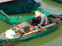 Fischzucht und sein Fischer