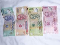 Millionärstraum Vietnam