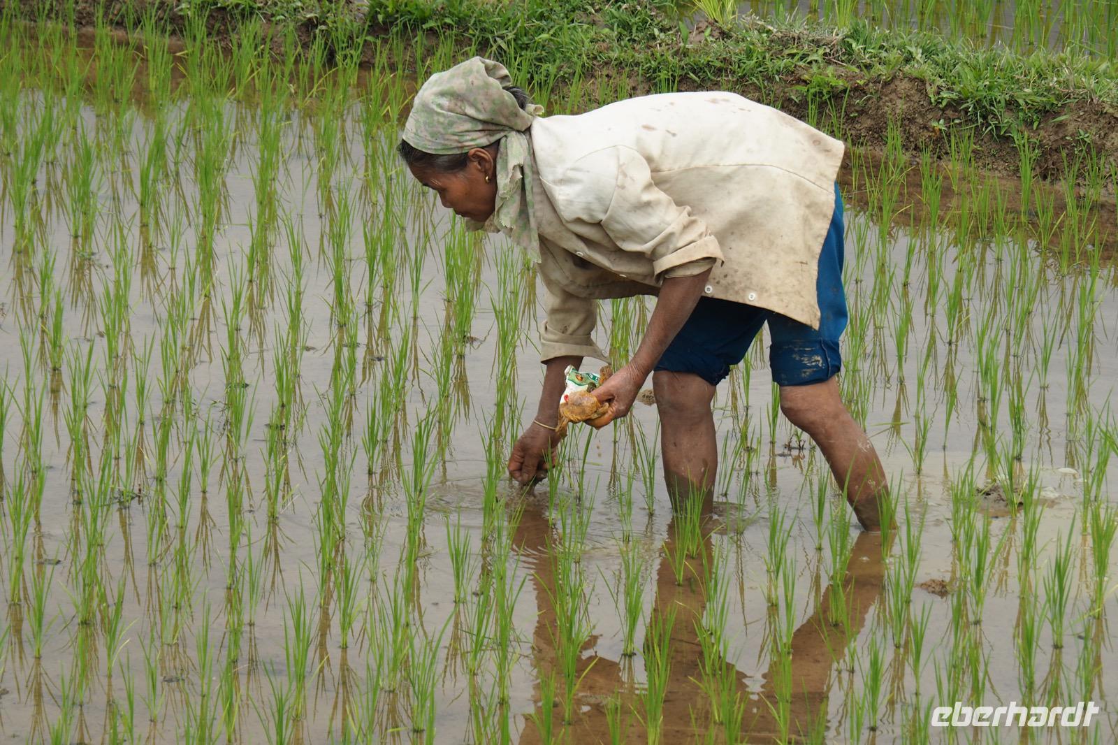 Vietnam Impressionen