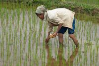 Vietnam Impressionen