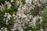 Vietnam Impressionen