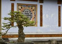 Vietnam Impressionen