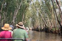 Tra Su-Mangrovenwald