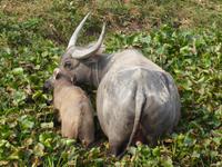 Vietnam Impressionen