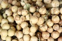 saure Bon Bon-Frucht