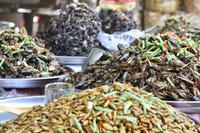 Kambodscha - Spinnenmarkt