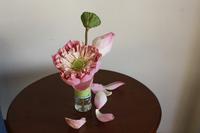 Kambodscha Impressionen