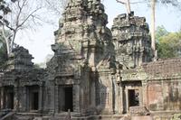 Angkor - Ta Phrom