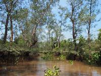 Cai Be: Bootsfahrt im Mekong Delta