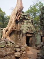 Ta Phrom