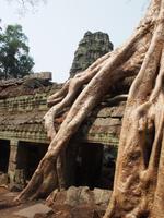 Ta Phrom