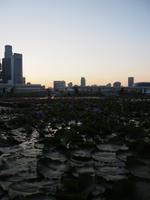 Sonnenuntergang in Singapur