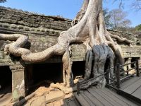 177 Ta Prohm.jpeg