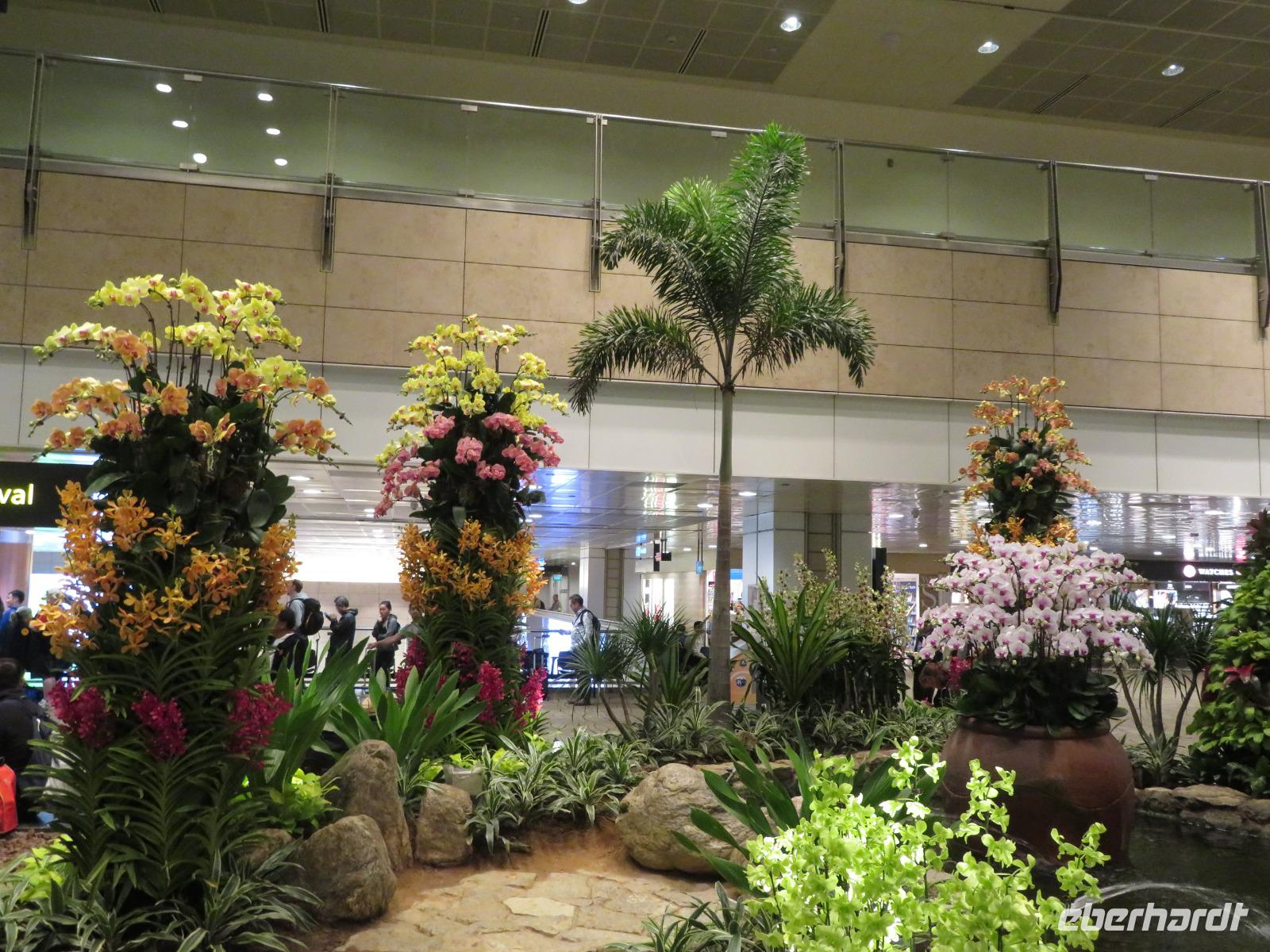 Orchideen-Garten in Singapur