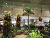 Orchideen-Garten in Singapur