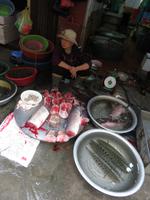 frischer Fisch (Hanoi)
