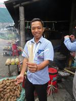 Mittagssnack - in Reis gekochter Bambus