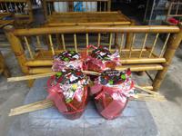 Reisschnaps für den Abend