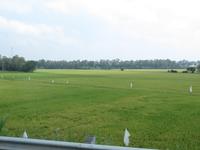 Reisfelder in Südvietnam