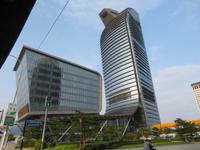 Klapperschlange von Phnom Penh