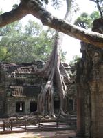 Ta Prohm