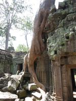 Ta Prohm