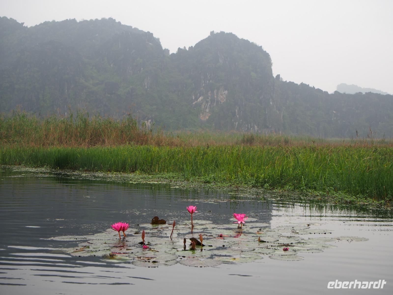 Sampa-Fahrt in Van Long