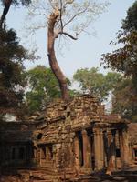 Ta Prohm