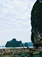 26 Ha Long Bucht Austerfangen.jpeg