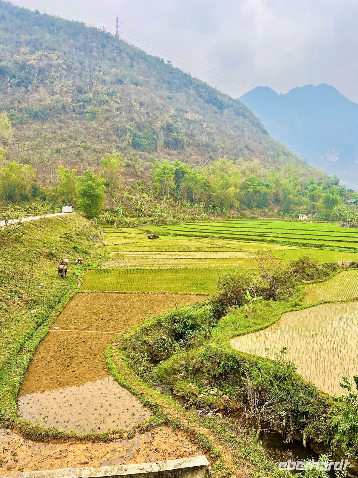 33 Bergregion Mai Chau.jpeg