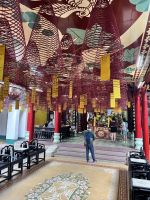 49 Räucherspiralen.jpeg