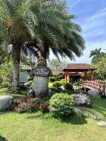 112 Mittagessen im Krokodilrestaurant.jpeg