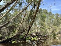 115 Bootsfahrt durch Tra Su.jpeg