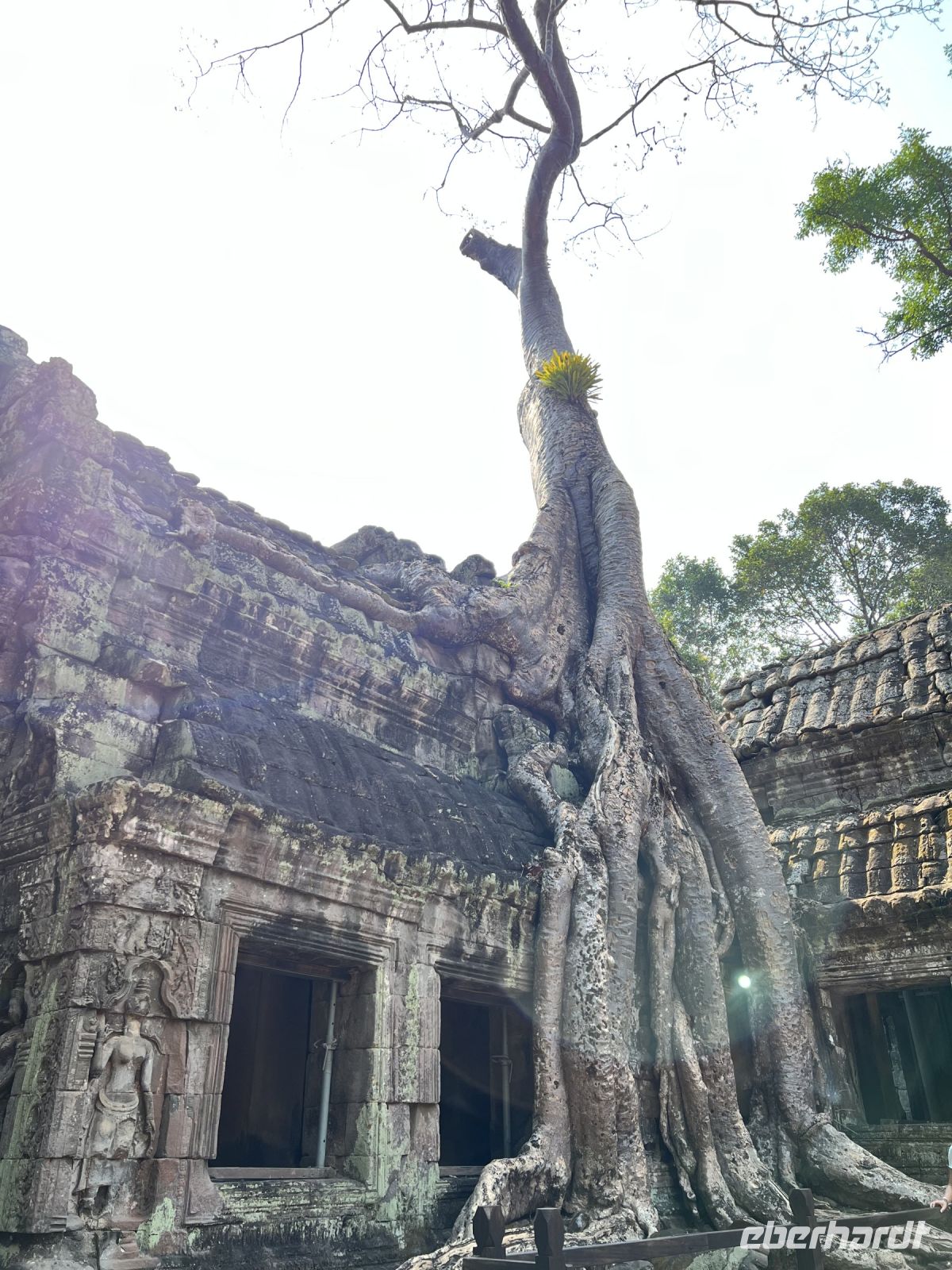 171 Ta Prohm.jpeg