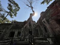 172 Ta Prohm.jpeg