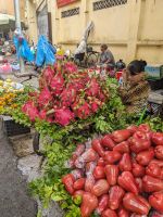 10. Stadtspaziergang Hanoi
