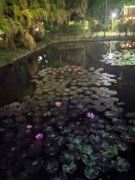 133. Hotelanlage bei Nacht