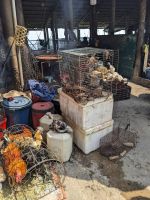 140. Zwischenstopp einheimischer Markt