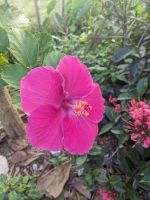 157. Spaziergang Mai Chau