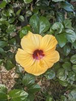 158. Spaziergang Mai Chau