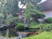 239. Thien Mu Pagode Hue