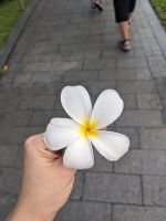 304. Spaziergang Ho Chi Minh Stadt