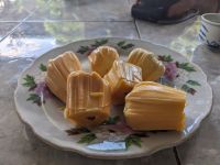 331. Tee- und Obstpause