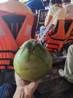 336. Erfrischende Kokosnuss 