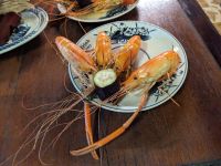 340. Elefantenohrfisch - Mittagessen Mekong