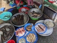 372.Marktbesuch Can Tho