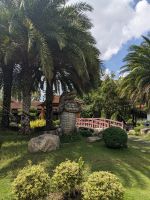 373. Zwischenstopp auf Krokodilsfarm