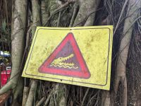 376. Zwischenstopp auf Krokodilsfarm