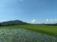 379. Fahrt nach Tra Su